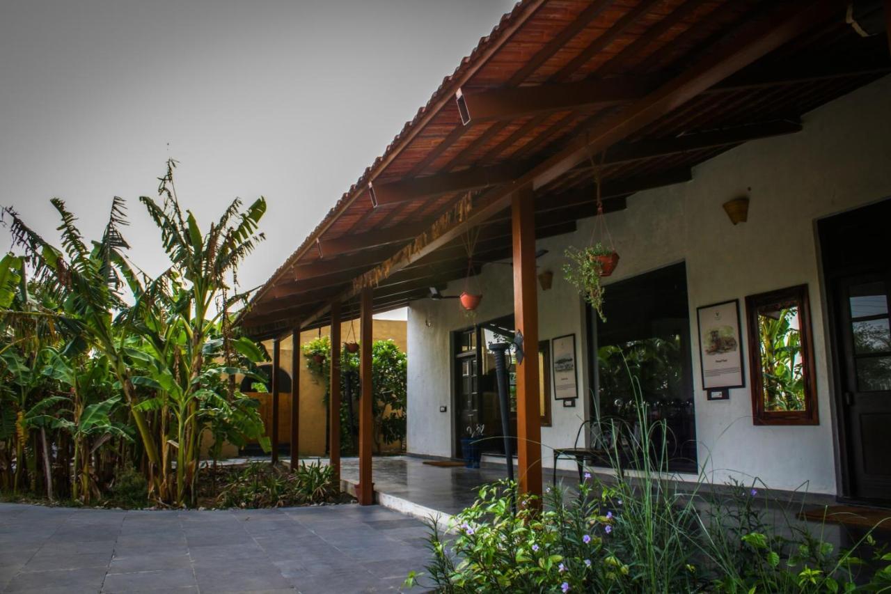 Beyond Stay Mahua Tola Tadoba Kolāra 外观 照片